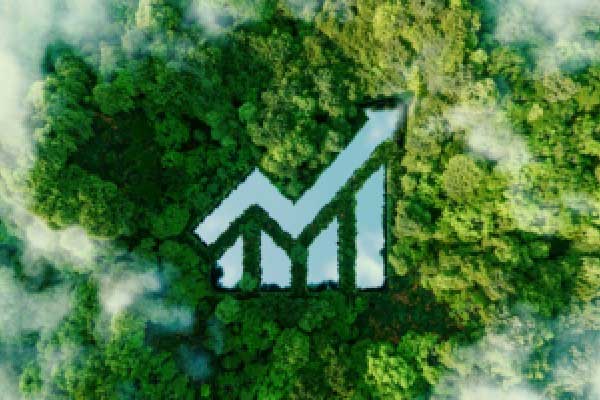 特朗普称 征收关税将大幅减少低收入者所得税